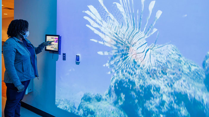 Creating an engaging X-ray environment